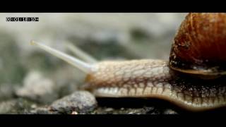 Canon EOS 7D test Lajko Felix Az uton