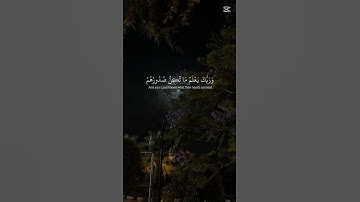 اكتب شيء تؤجر عليه.. 🤍 الحمدلله 🤍# القارئ الشيخ ياسر الدوسري 🌷#