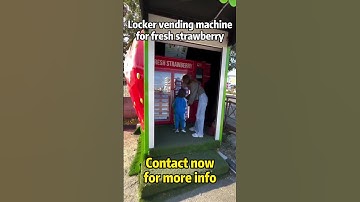 Refrigerated locker vending machine for selling fresh strawberries #vendingmachine #fruit #farmer