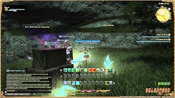 Final Fantasy XIV  A Realm Reborn - Arcanist Lv5 Quest - What