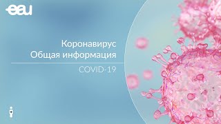Коронавирус, общие сведения о COVID-19 ✅ Информация о КОВИД-19