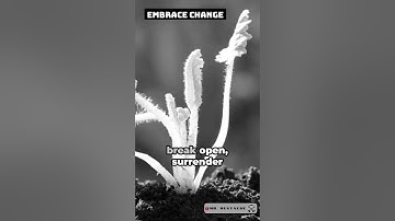 Embrace Change - A New Perspective | Motivational Video #motivation #success