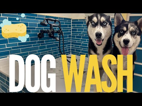 My INSANELY EASY DIY DOG WASH STATION tutorial for YOU to build at home!