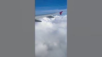 Flying with your head in the clouds #shorts #tiktok #2023 #clouds #japan #flight #sky #clouds #plane