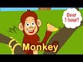 Learn Animal Names, Colours and Sounds For Toddlers | Number Zoo