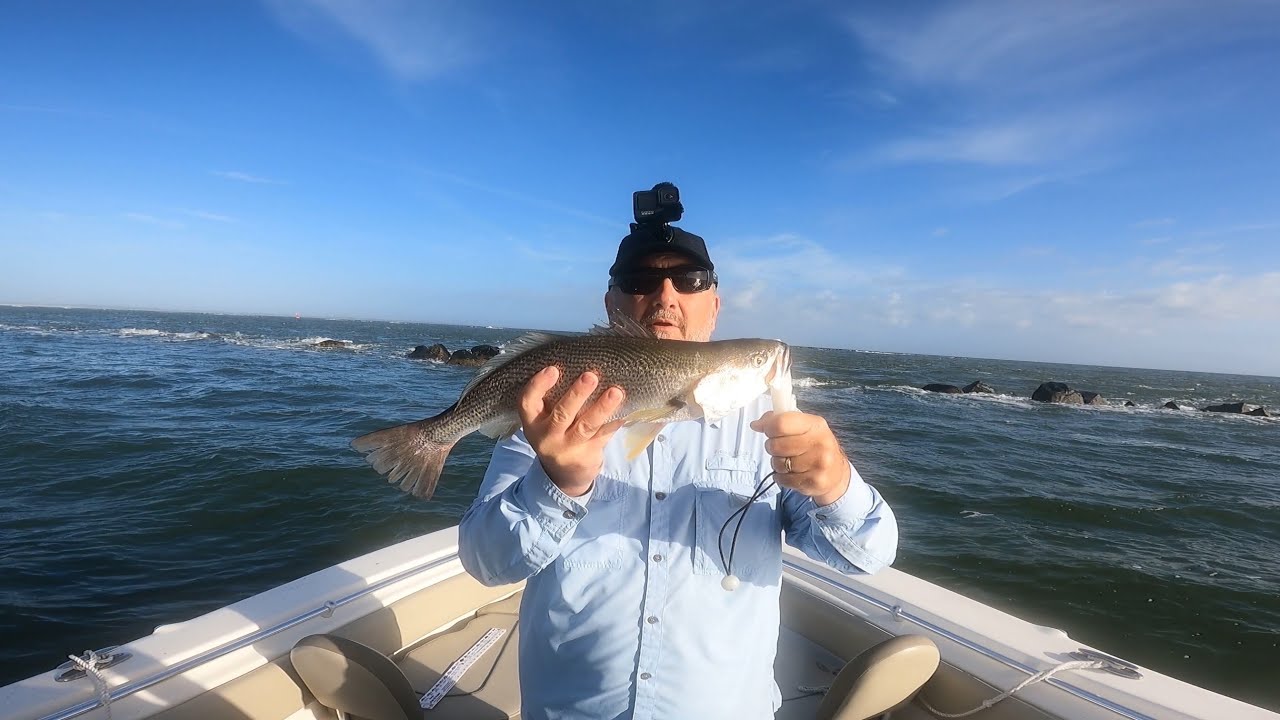Jacksonville Jetties Trout all on Live Shrimp YouTube