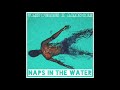 Torey D&#39;Shaun - Naps In The Water ft. Aaron Cole