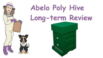 Abelo Poly Hive - Long-term Review