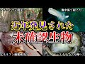 【ゆっくり解説】写真で捉えた！近年発見された未確認生物の証拠がヤバすぎる!!!その正体とは…？