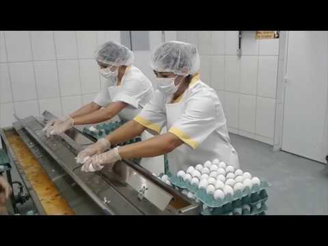 Vídeo: Os ovos do Walmart são pasteurizados?