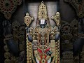 govinda hari govinda venkat Ramana govinda #tirumala #tirupati #balaji