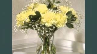 Pretty And Lovely Flower Pictures | Yellow Carnation Flower