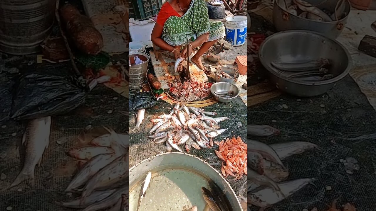 amazing prime pabda fish slice video 
