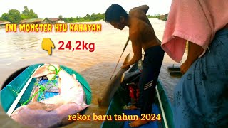 sampai lemas dibuat nya saya, patin monster hiu sungai kahayan 24 kg ini!! rekor baru 2024!!