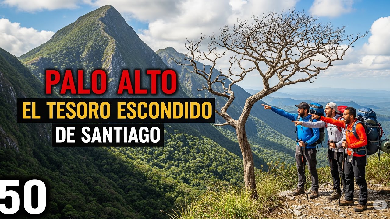Palo Alto Un Tesoro Escondido En Santiago 