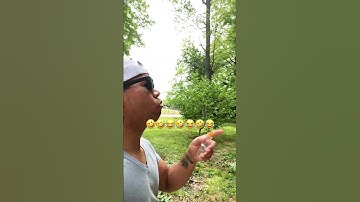 Who is this ninja turtle look alike #dance #viralvideo #trending #fypyoutube