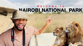 Nairobi National Park Travel Vlog | Nairobi National Park Experience, Kenya | The Safari Tour