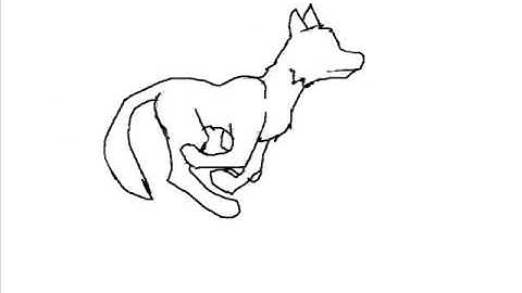 Creating of an animation