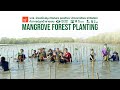 Forest love planting feb 2024