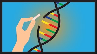 ¿Qué es CRISPR/Cas9?