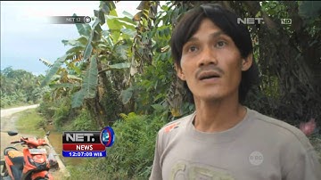 Jalan trans kalimantan rusak parah - NET12