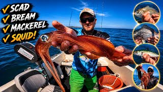 Amazing Boat Fishing Session! - Catching Scad, Bream, Mackerel and Squid!