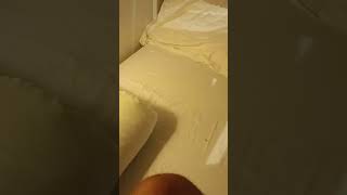 Singapore buget hostel #travel #2023 only in 25 dollar china town beat art hostel