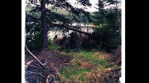 Wood River by Connie Kaldor