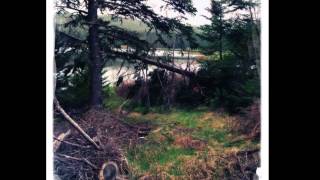 Video thumbnail of "Wood River by Connie Kaldor"