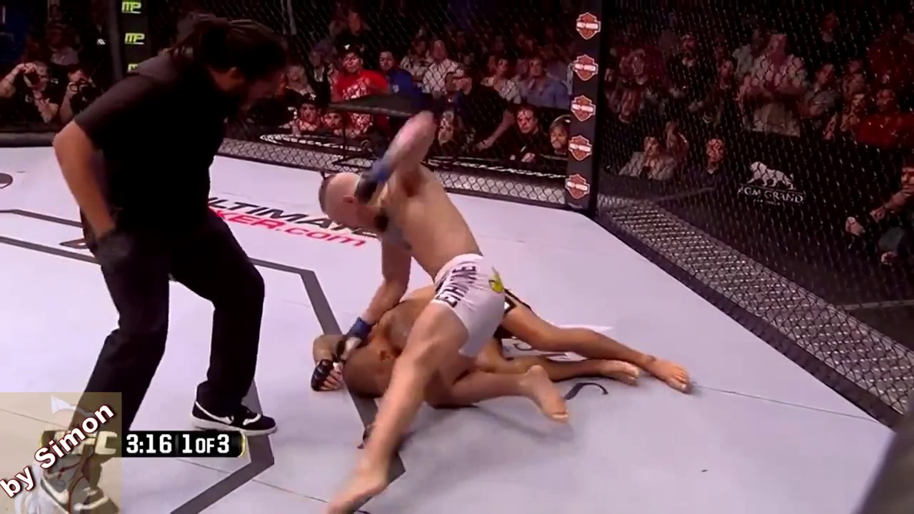 Knockout vine | Conor McGregor | BY SIMON