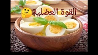 فوائد البيض لصة افضل وقوة عضلية رهيبة ...؟؟؟