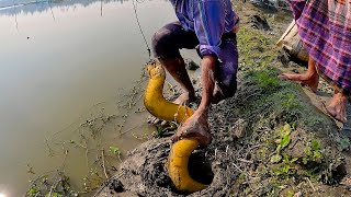 এত বড় কুচিয়া আগে দেখিনি | কুচিয়া ধরার কৌশল | Amazing Eel Fishing Video | Best Hook Fishing Video screenshot 5