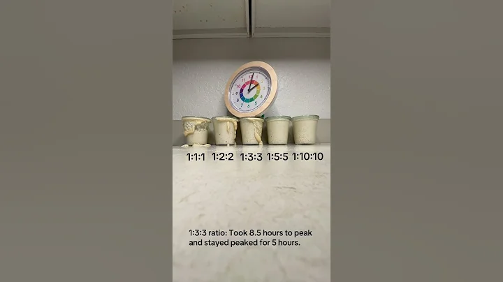 Sourdough Starter Feeding Ratios Timelapse