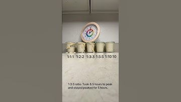 Sourdough Starter Feeding Ratios Timelapse