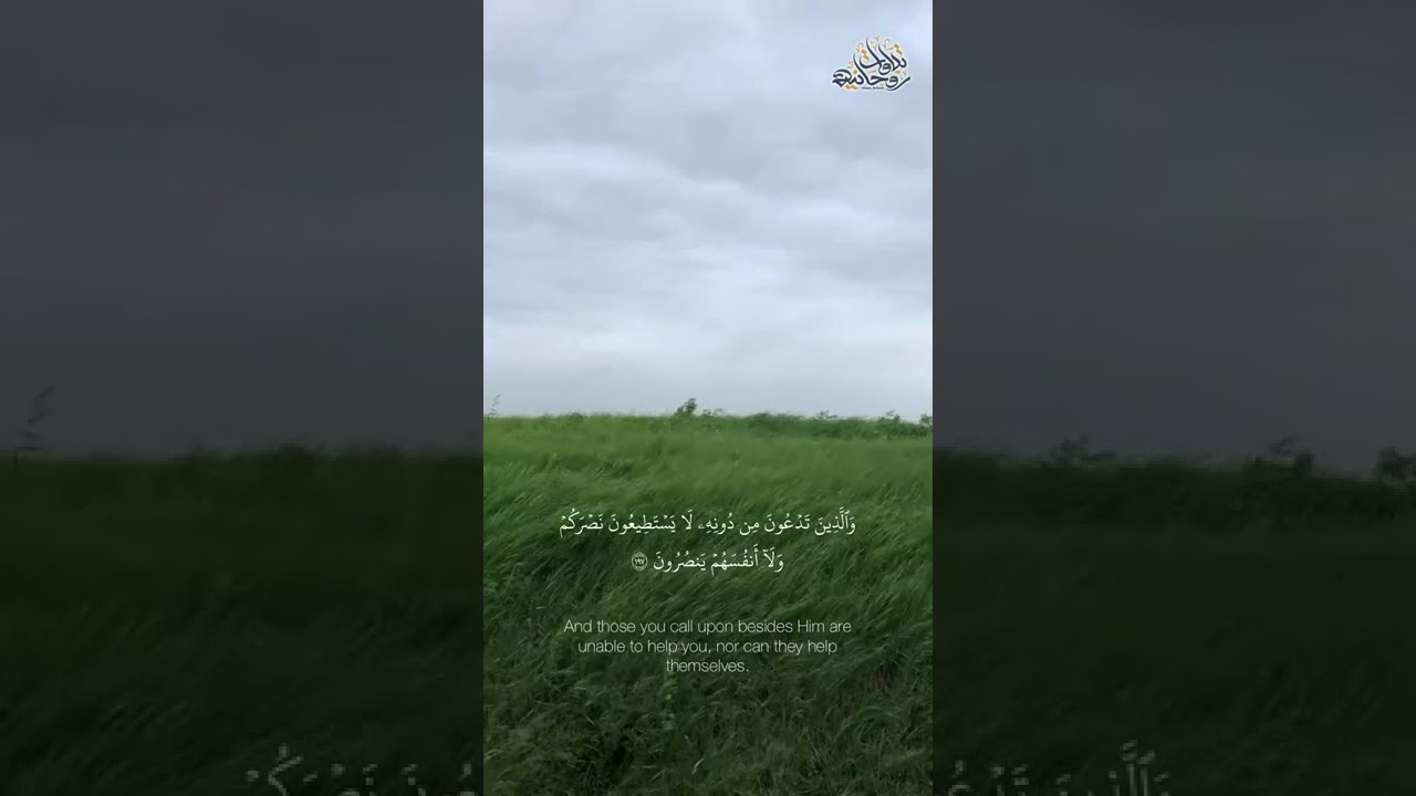 تلاوة رائعة من سورة الأعراف للشيخ علي جابر رحمة الله
