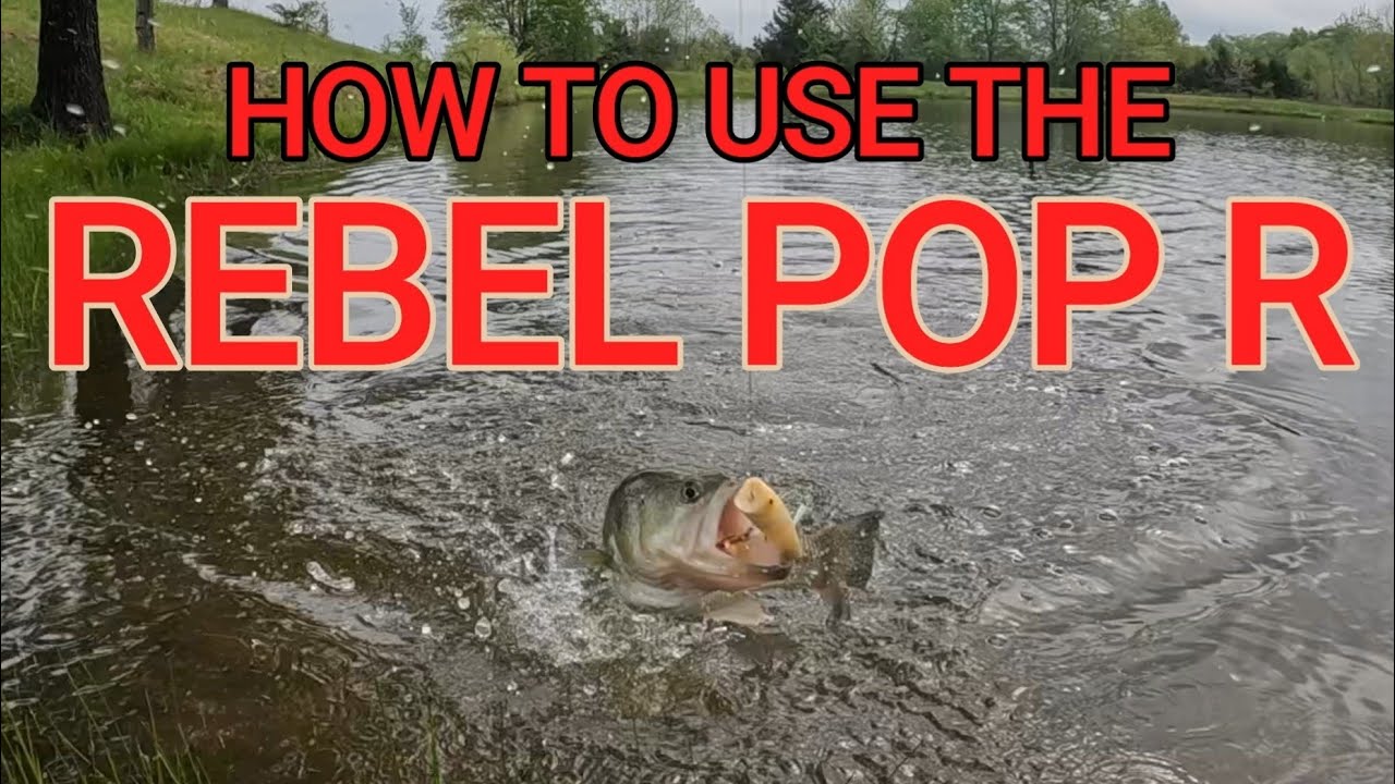 HOW TO CATCH BASS WITH THE REBEL POP R