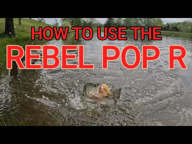HOW TO CATCH BASS WITH THE REBEL POP R