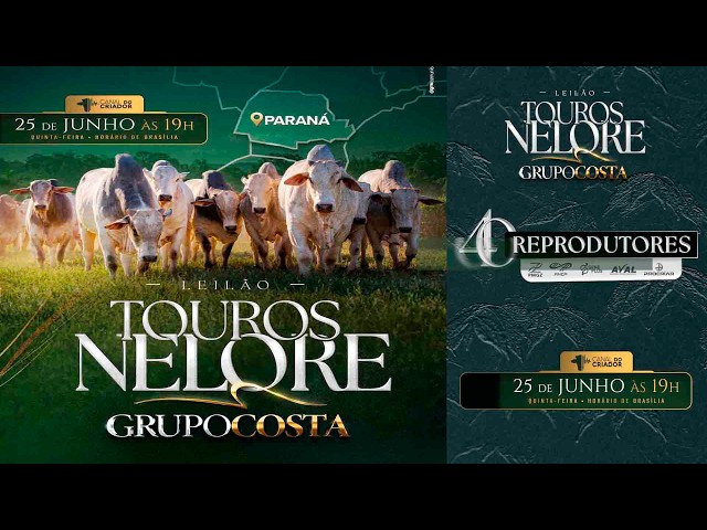 LOTE 11   GCGC 765
