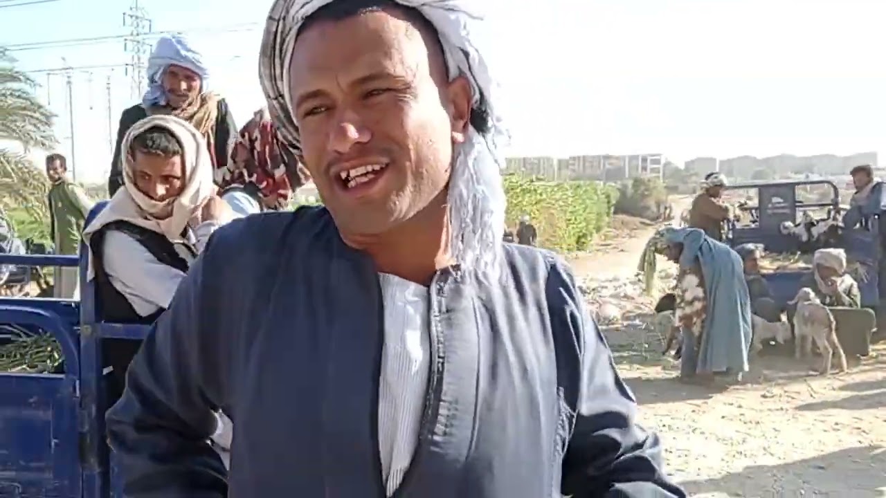 اجمل الاسعار من داخل السوق اسنا محافظه الاقصر بتاريخ 21/2/2026  خش وشوف بنفسك الاسعار 
