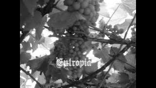 Entropia-The Sorrow of Love