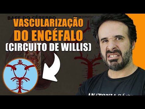 Vídeo: Círculo De Willis - Desenvolvimento, Tratamento, Sintomas