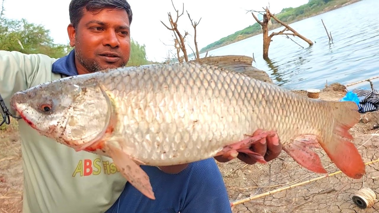 Fishing Fish Catching Video Nadi Me machli pakadna Fishing Techniques River Fishing