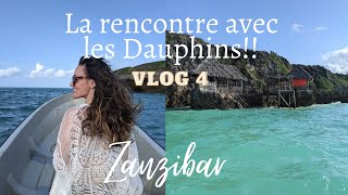 🐬 Zanzibar : Où voir et nager avec les dauphins? (c’était magique!!) + belle plage de Paje - VLOG4