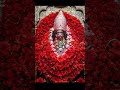 #jai maa Tara 🙏♥️♥️♥️