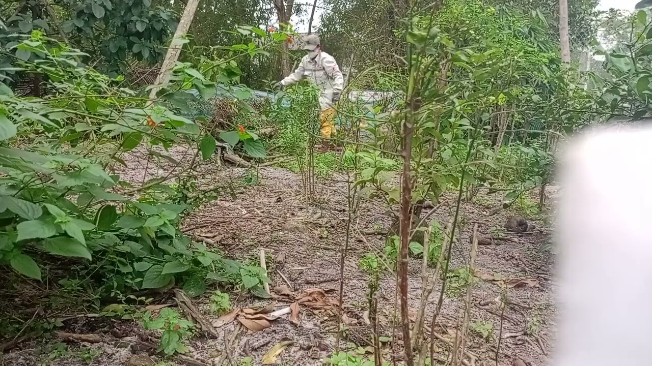 Rural Life Unplugged: Embracing Nature and Simplicity