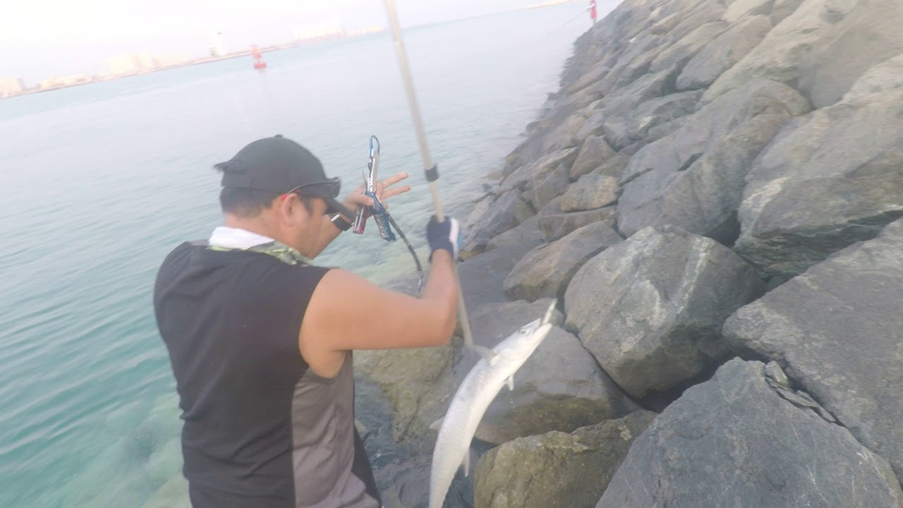 5.1kg kingfish on Casting Daiwa BG3000 by VENER.. Abudhabi