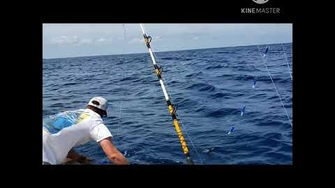 Wahoo, Tuna and Mahi Outer Banks OBX
