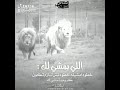 حالات واتس اب عن الاسد 2020 حالات واتس اب عن الاسد 2020