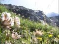 Randonnées dans les Alpes du Nord - Documentaire nature