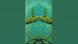 Jesse DeRosa, Andy Borsz – DeRosa/Borsz (Cassette Rip)